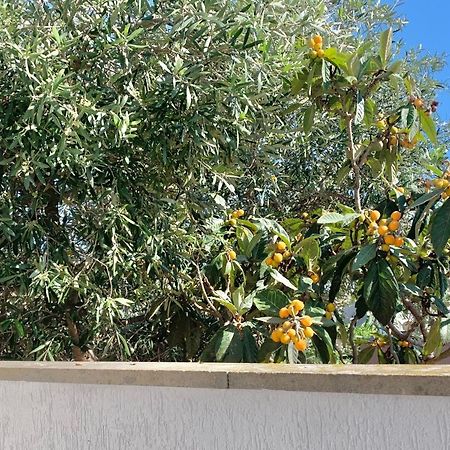 Santa Beach House Santa Marinella Εξωτερικό φωτογραφία